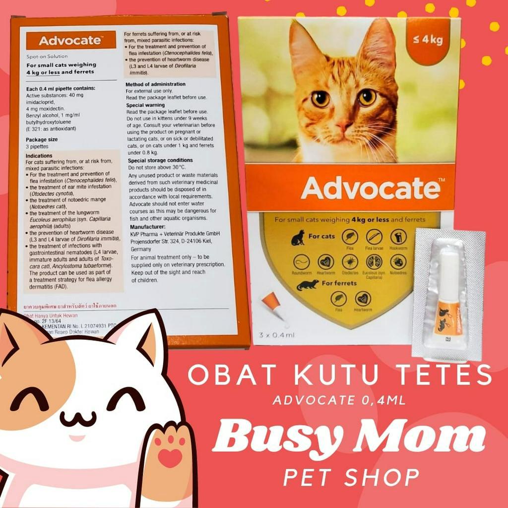 Advocate Obat Kutu Tetes Kucing