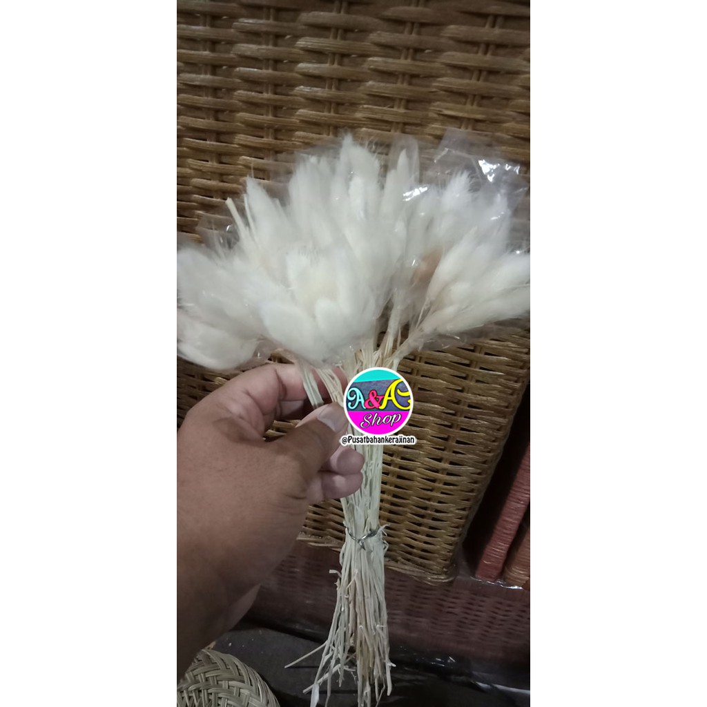 

bunga putih
