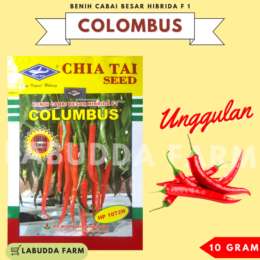 Bibit Cabe Keriting - Benih Cabe Keriting - Bibit Cabe Merah - Bibit Cabe Siap Tanam - Bibit Cabe Me