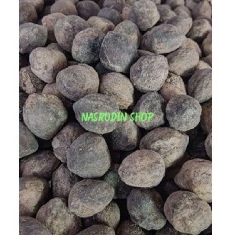 

[Fresh] Biji Kemiri Paket 80-100 Biji Buah Kemiri / Muncang Bibit Kemiri