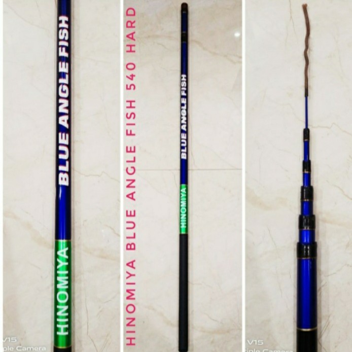 JORAN TEGEK HINOMIYA BLUE ANGEL FISH KAKU