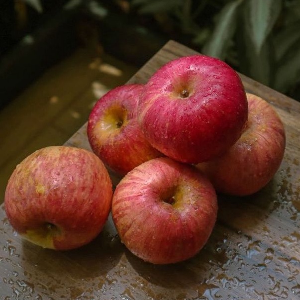 

Apel fuji mengandung vitamin C, flavonoid, polifenol, dan bioflavonoid yang tinggi. Makan apel fuji setiap hari dapat membantu meningkatkan kesehatan Anda karena kandungan serat, vitamin, flavonoid yang tinggi di dalamnya.