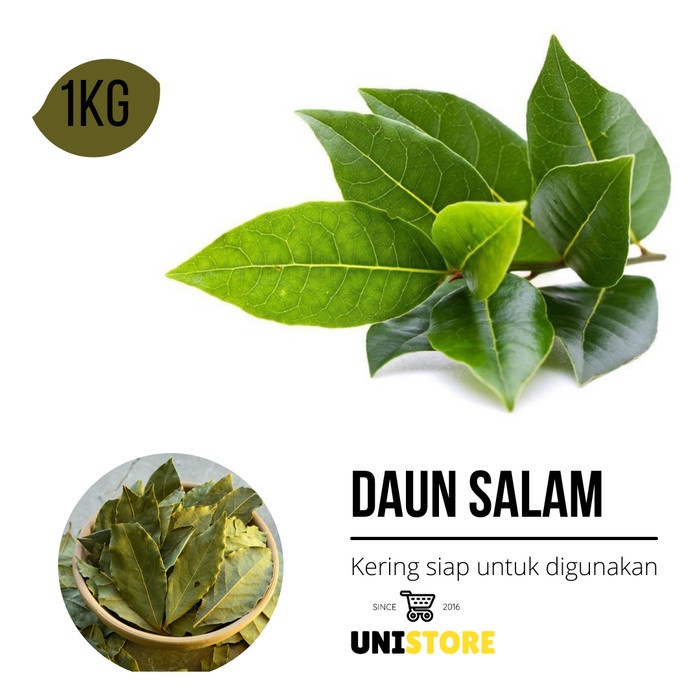 

New Daun salam kering 1kg - bumbu dapur / masak
