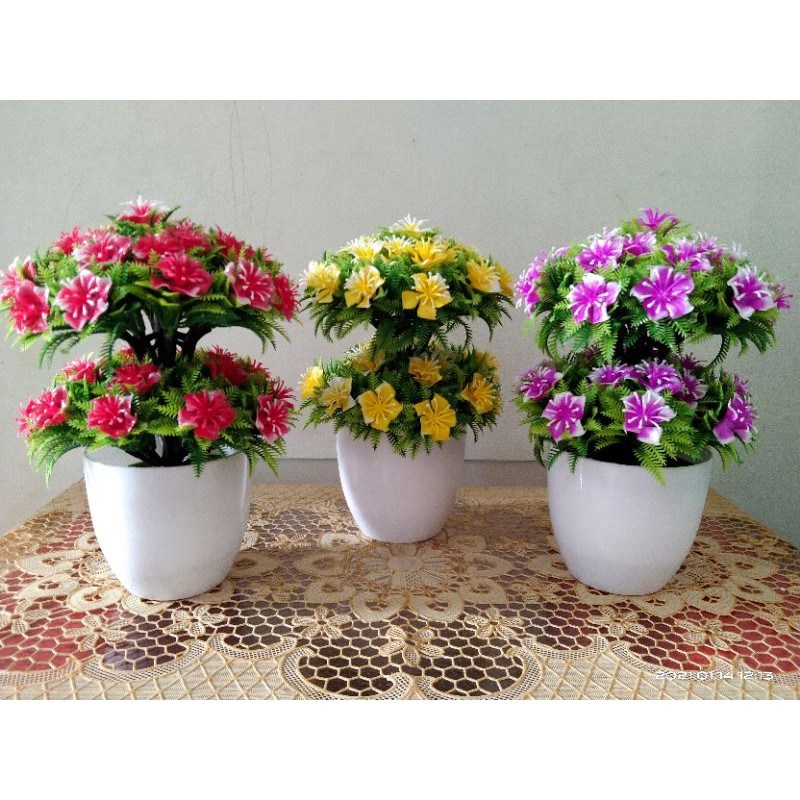

bunga shabby
