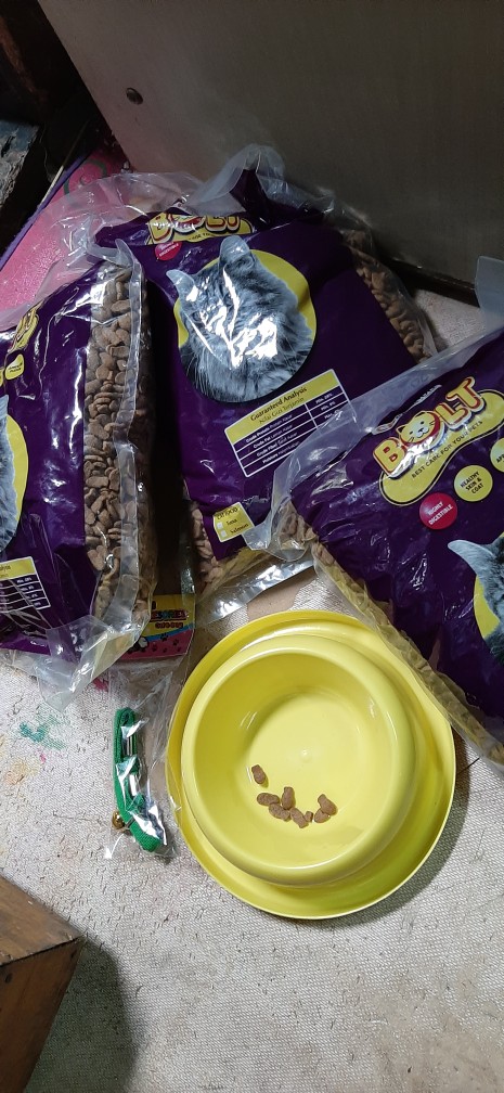 Tempat Makan Anti Semut Single T77