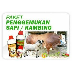 Promo Vitamin Penggemuk Ternak Sapi Kambing Kelinci Domba Bebek