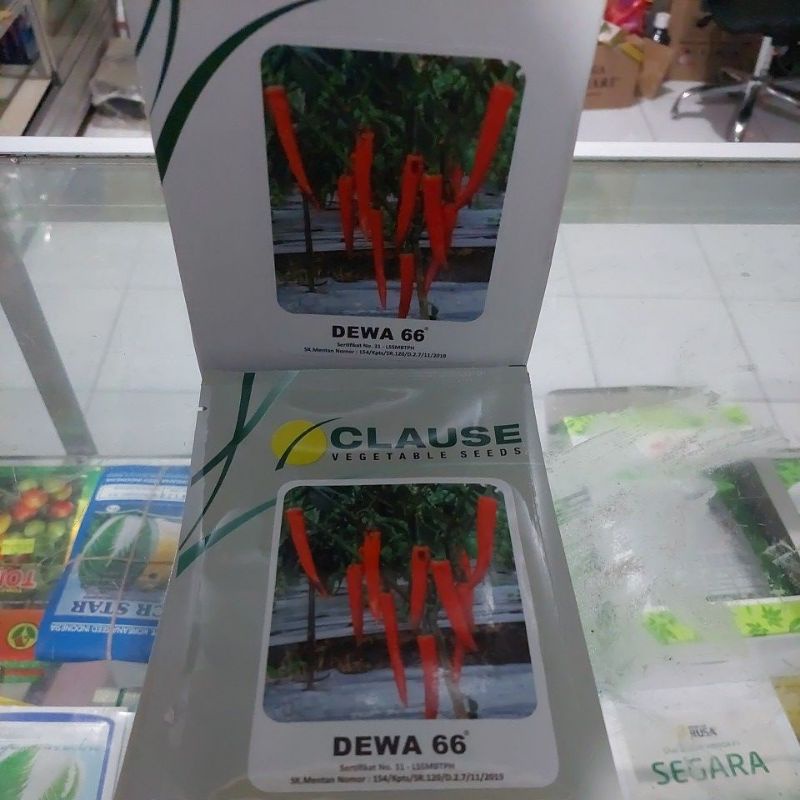 benih cabe besar dewa 66,10gram