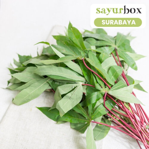 

Daun Singkong Conventional 250 gram (Sayurbox) - SURABAYA