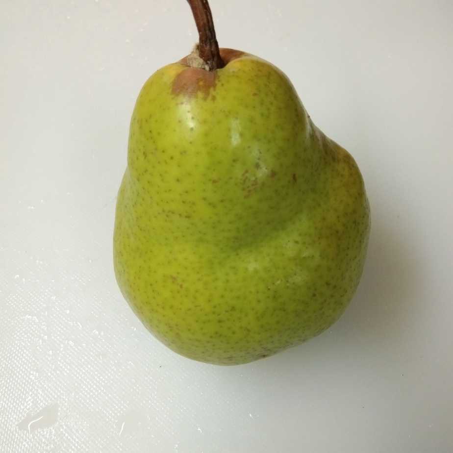 

Pear xianglie