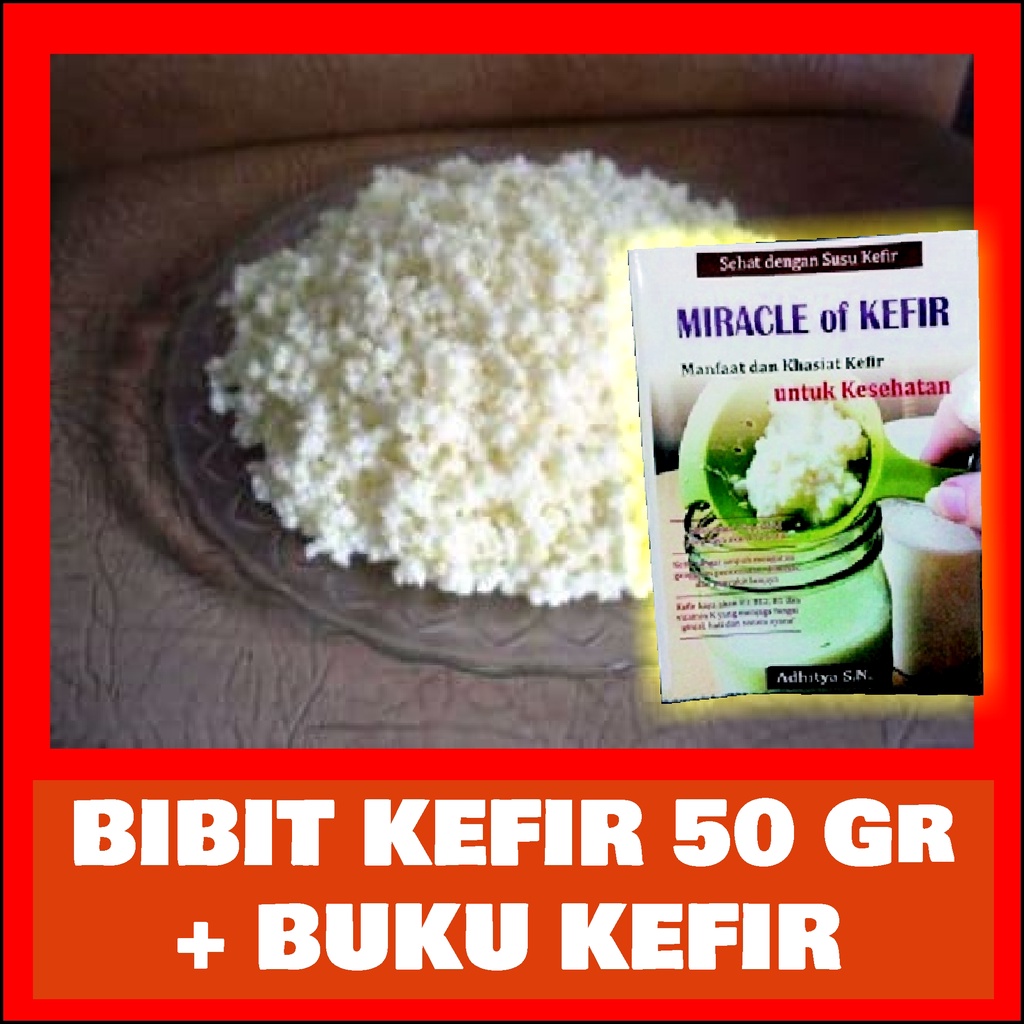 

Bibit Kefir Asli / Starter Kefir 50 Gram Bibit Kefir Asli + Bonus Buku Miracle of Kefir