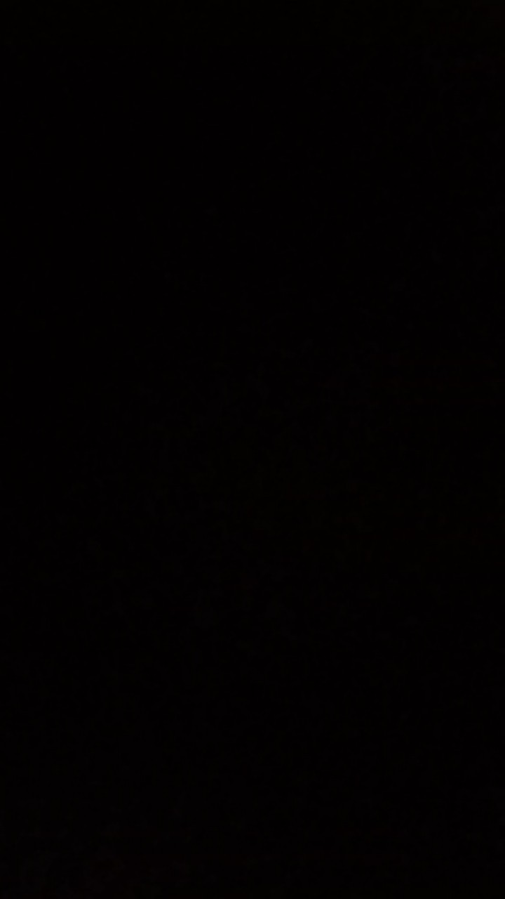 Wooden Projects Kaligrafi Hiasan Pajangan Dinding Rumah Lafadz Allah Muhammad Tropical Series - Pzl