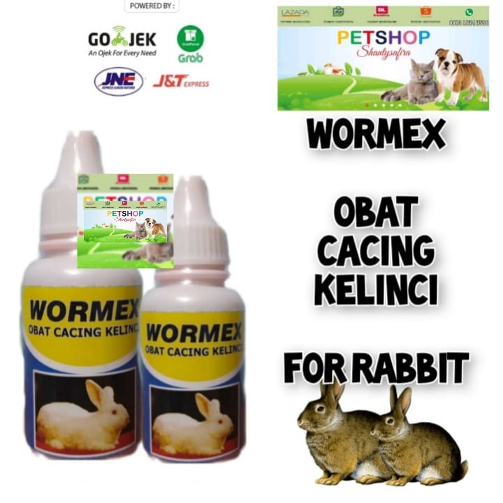 WORMEX OBAT CACING UNTUK KELINCI