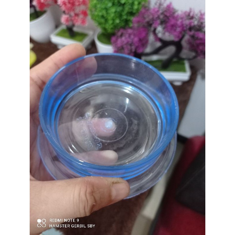 Tempat makan akrilik cocok buat hamster gerbil landak mini