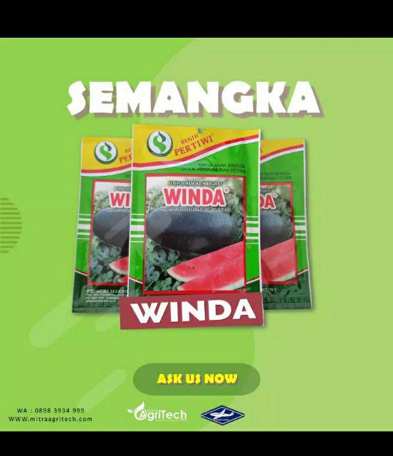 Benih Cabai Cabe Keriting Kastilo F1 Isi 150 Biji - Cap Panah Merah