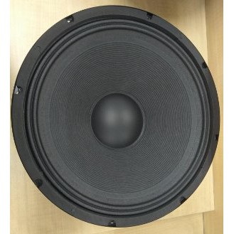 speaker enigma 15 inch