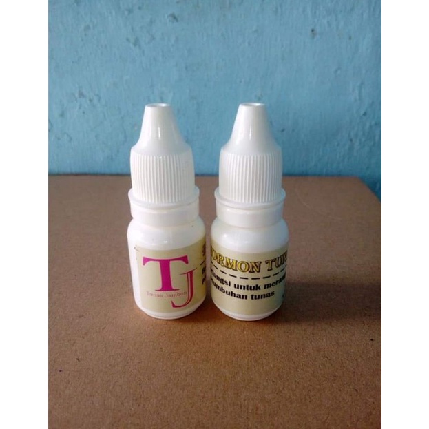 5 pcs Tunas Jambon #TJ-Penumbuh_Tunas_Baru , hormon tanaman , tunas baru, hormon tj