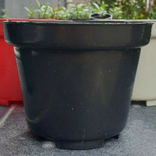 Pot hitam polos 17 pot murah pot grosir murah pot semai pot biasa