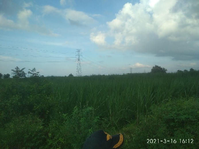 Pisau Dapur Cuwo Besar Baja Asli Pisau Serbaguna Potong Kupas Murah Grosir