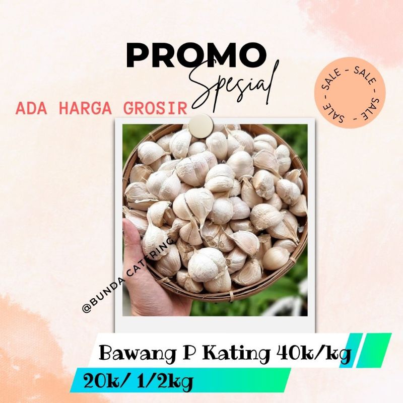 

Bawang Putih Kating kg Murah