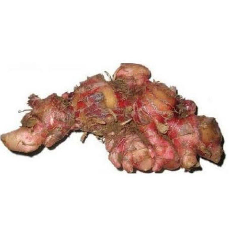 

Jahe Merah 250gr Bakul Sayur Murah Bandung