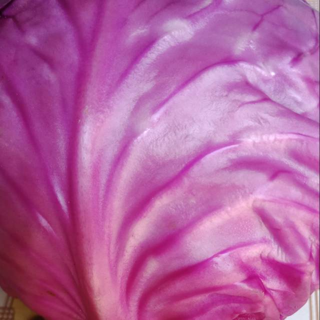 

Kol Ungu 500 gr Real Pict