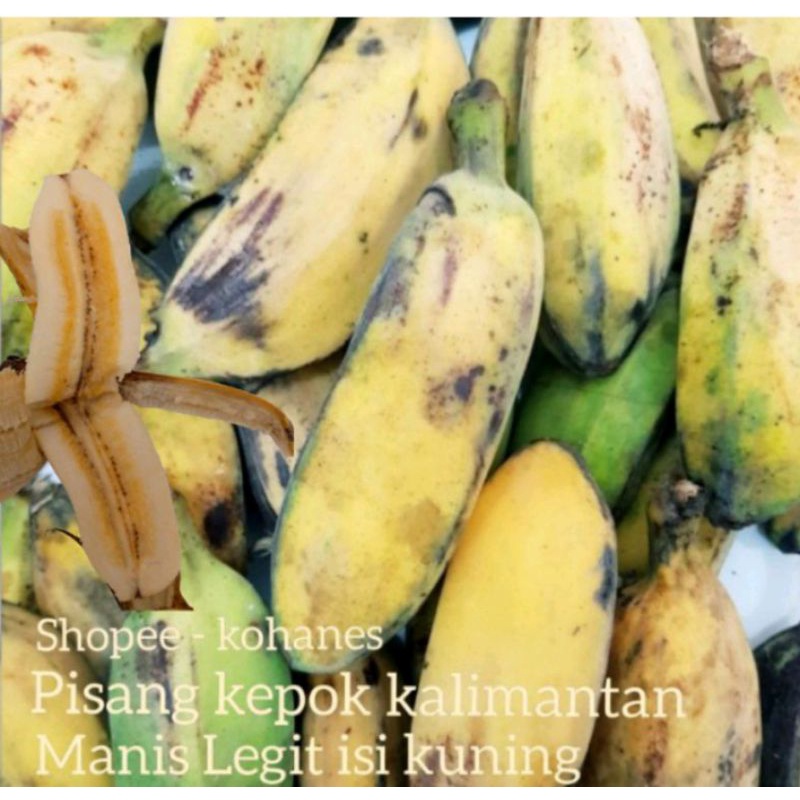 

PISANG KEPOK KALIMANTAN ( UKURAN SMALL ) 1 kg = 15 - 16 BUAH
