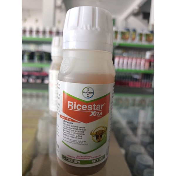RICESTAR EXTRA 100ml Herbisida sistemik purna tumbuh ( obat suket kebo ) suket dengkulan