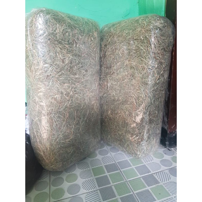 Rumput Hay DACTYLON Repack 2 Kg