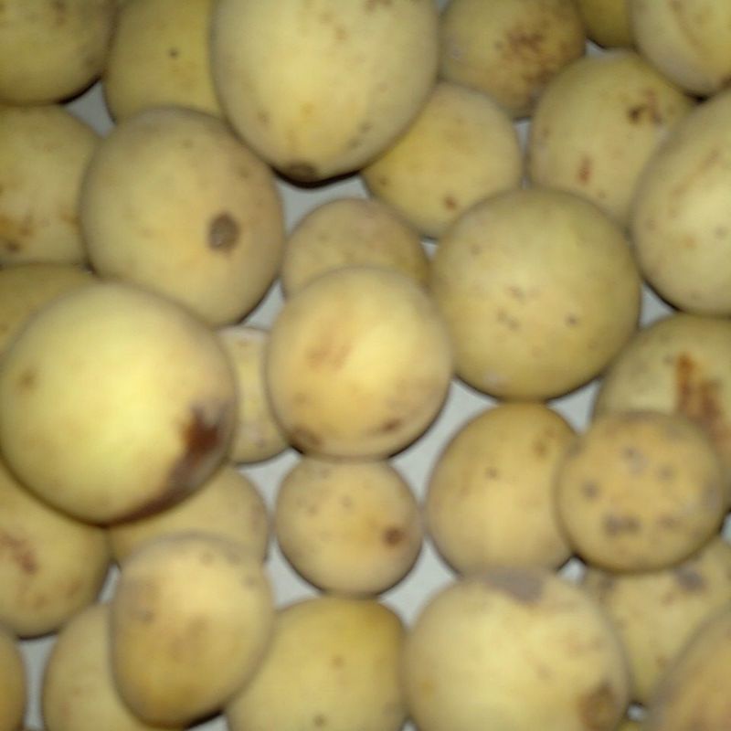 

Buah Langsat Dukuh segar kg