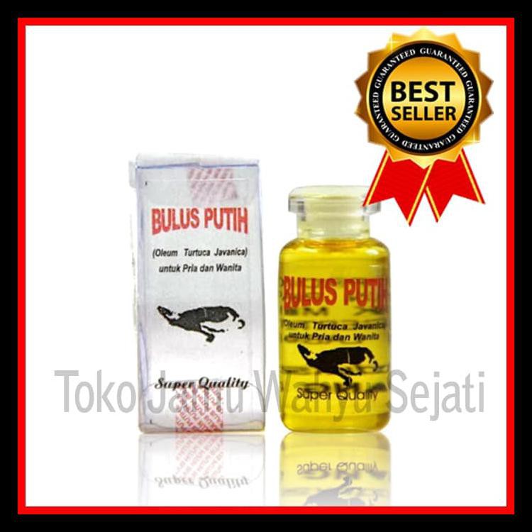 Murah Minyak Bulus Putih Pd Eyang Laut Pembesar Payudara Kode