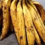 

Pisang Tanduk Segar Manis Buah Buahan Bandung.