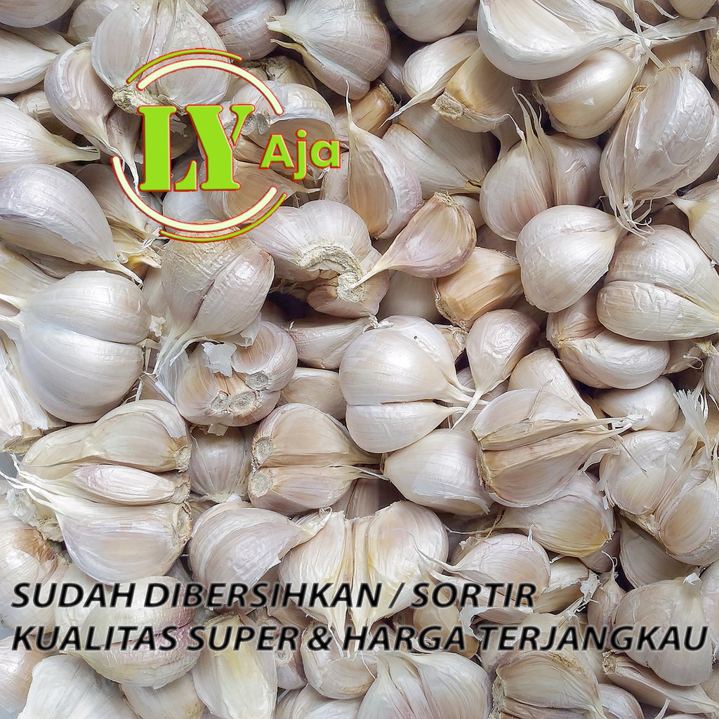 Bawang Putih Kating BERSIH Pretelan 500 Gram Kualitas Super LY Aja 500 Gr