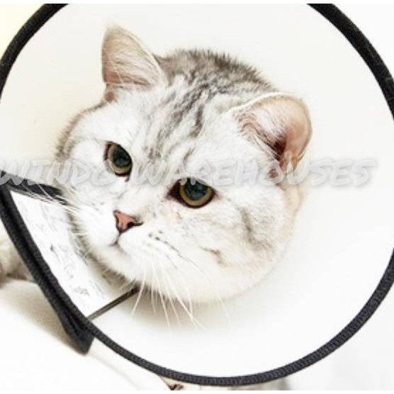 PET COLLAR CONE LINGKARAN PELINDUNG CORONG PENUTUP LEHER KEPALA ANTI BITE ANJING KUCING DOG CAT NO 7
