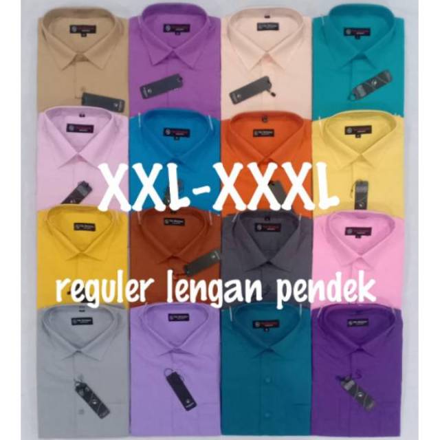 Vio Roldan size jumbo XXL/XXXL lengan pendek kemeja polos pria