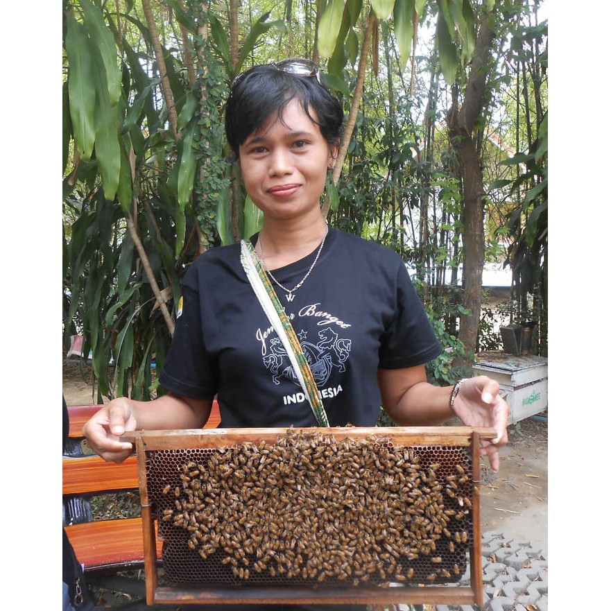 

Madu Murni. 100 % murni, 1Kg