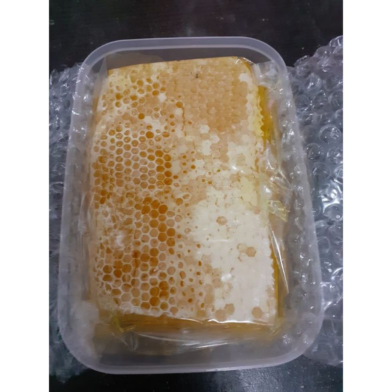 

sarang madu alis melifera