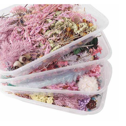 Various Dried Flower - Aneka Macam Bunga Kering (1box)