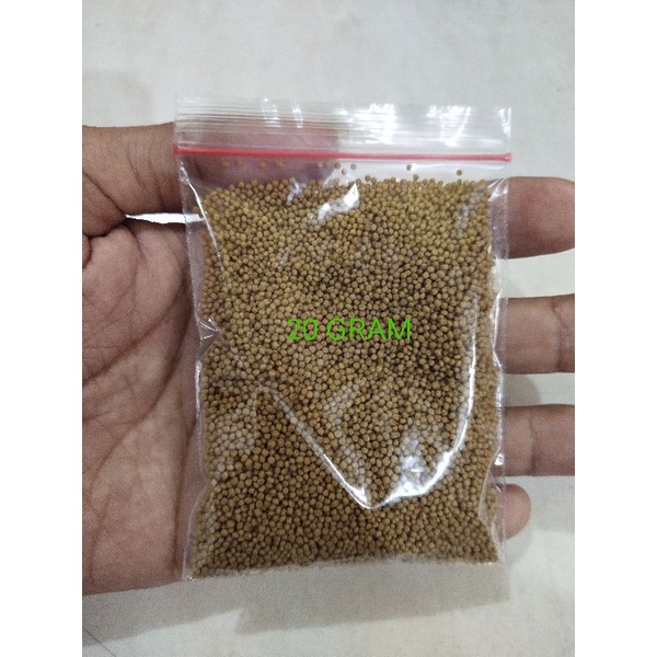 PELET IKAN HIAS CUPANG GUPY MOLLY PLATY DAN IKAN HIAS KECIL LAIN/PAKAN APUNG/PUR IKAN/PAKAN BIBIT NI