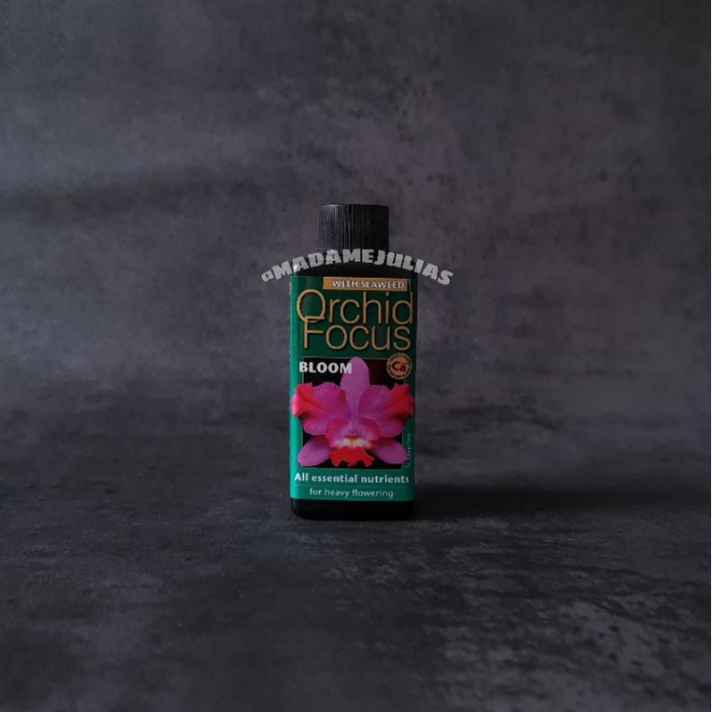 pupuk anggrek ORCHID FOCUS BLOOM 100ML