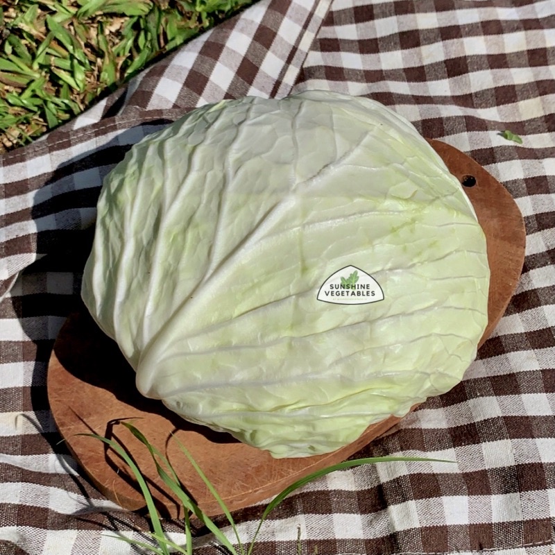 

KOL PUTIH [1kg] / KUBIS by Sunshine Vegetables