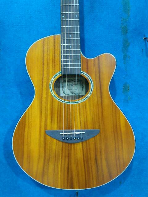 Gitar Akustik Merk Camwood Original Tipe IWC-38 NSK Solid Slim Senar String Trusrod Murah Jakarta