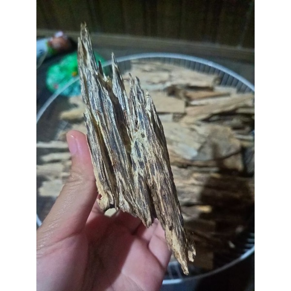 mugnikalimantan kayu gaharu original asli Kalimantan aroma terapi atasi setres syaraf tegang susah t