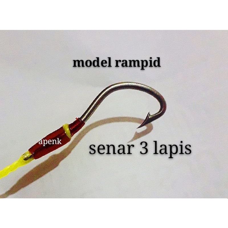 kail pancing welut model rampid