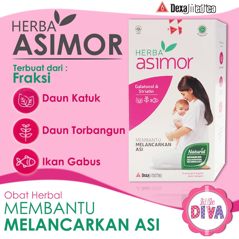 ASI Booster ASIMOR Obat Herbal Membantu Pelancar Susu Ibu kandungan daun katuk torbangun ikan gabus