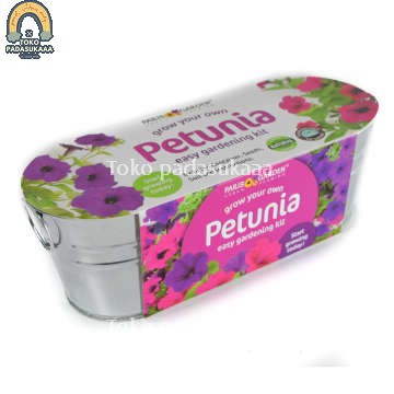 Paket Bibit benih Bunga Petunia