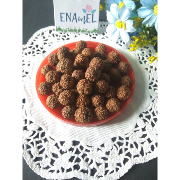 biji Jenitri/ Biji Genitri Asli