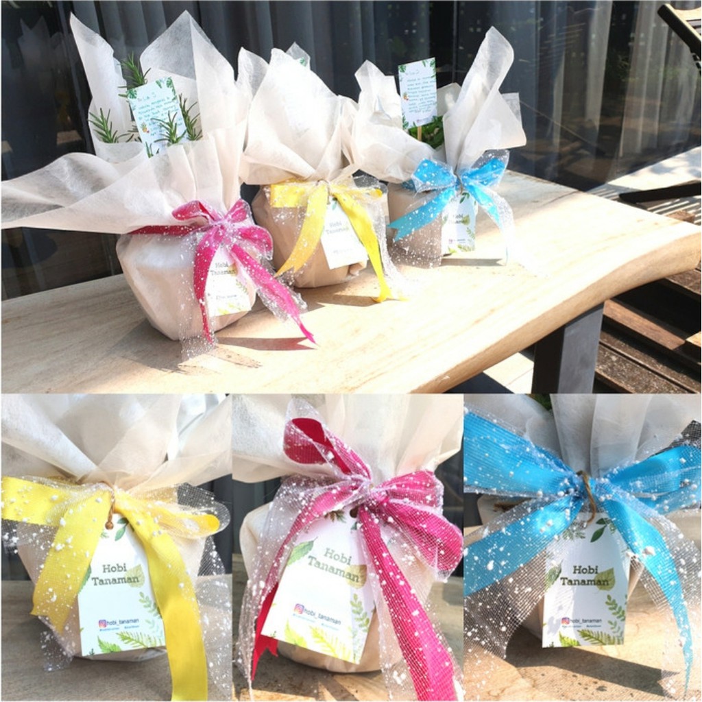 

Extra bungkus kado / hadiah tanaman / gift Packaging + Pita