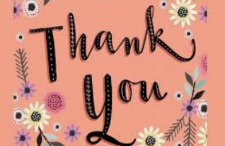 Sprei 160 Vito Motif Animalkingdom/ Doubletree/royalruby/trafficjam/unicorn/yellowduck