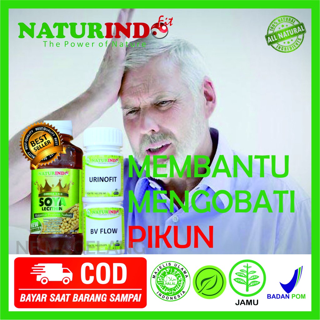 OBAT HERBAL meningitis mudah lupa ingatan faktor usia kerusakan sel otak infeksi otak amnesia