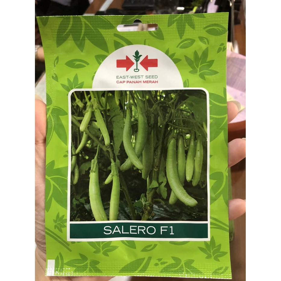Benih Terong Hijau Telunjuk Salero Panah Merah Small Pack.